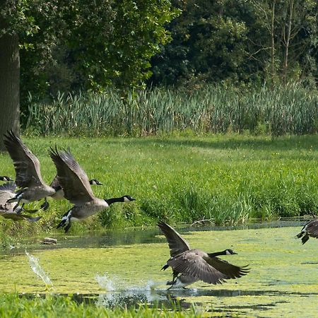 B&B Park7 Wavre - Leuven Huldenberg Exteriér fotografie