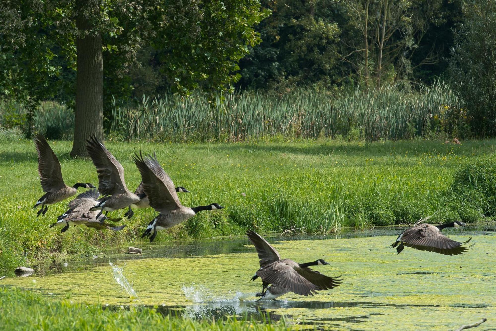B&B Park7 Wavre - Leuven Huldenberg Exteriér fotografie
